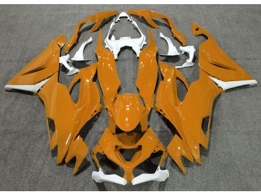 2019-2020 Gloss Orange & White Kawasaki ZX6R Fairings for Sale