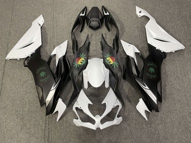 2019-2020 Happy Face Kawasaki ZX6R Fairings for Sale